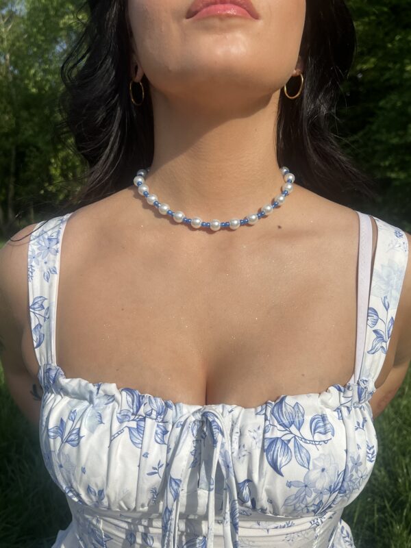 NIEZAPOMINAJKA NASZYJNIK